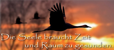 Kranichbild - die Seele braucht Zeit und Raum zu gesunden.