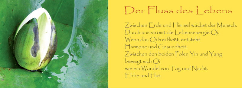 Der Fluss des Lebens -Text
